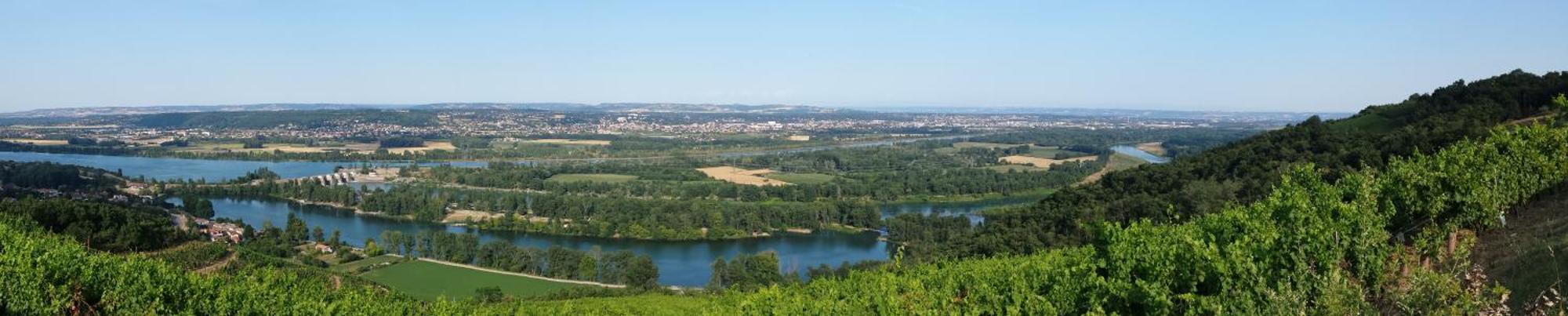 L'Ecrin De Vert Saint-Alban-du-Rhône Δωμάτιο φωτογραφία